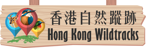 Logo of Hong Kong Bird Map