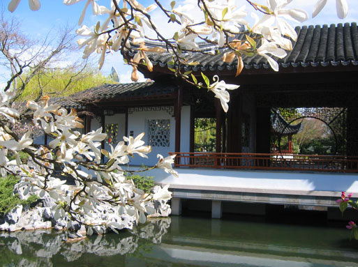 Dr. Sun Yat-Sen Classical Chinese Garden (Vancouver, Canada)